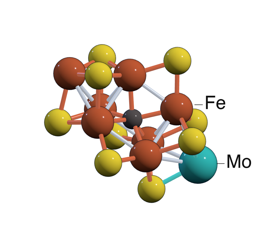 Structure of the FeMo cofactor in nitrogenase